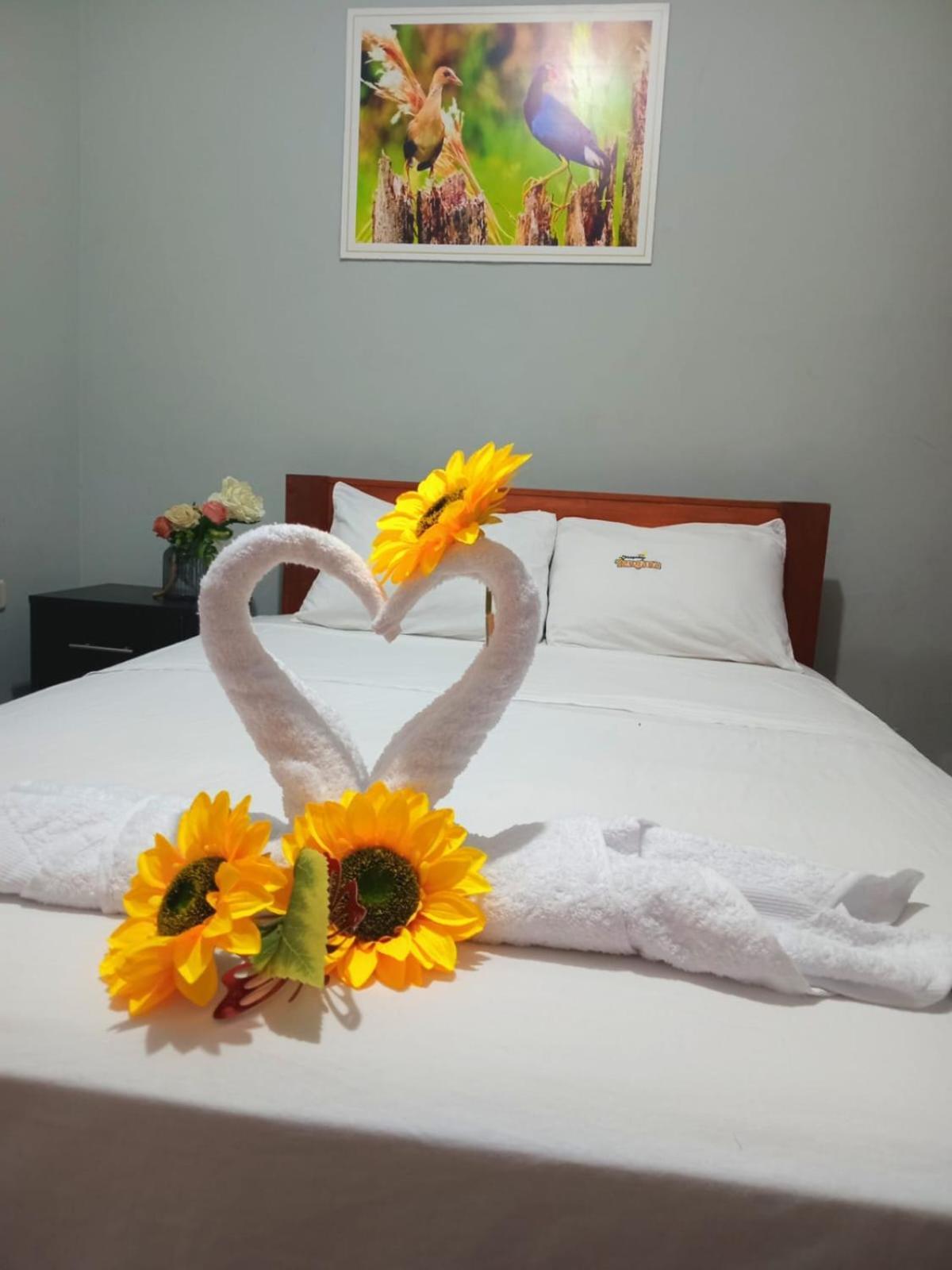 Tengana Hospedaje Y Tours ตาราโปโต ภายนอก รูปภาพ